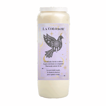 neuvaine-animal-totem-colombe-paix