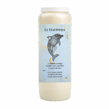 Neuvaine Animal Totem Dauphin joie harmonie