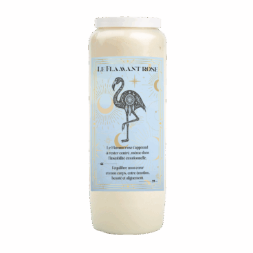 Neuvaine Animal Totem Flamant Rose équilibre harmonie