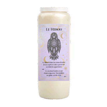 Neuvaine Animal Totem Hibou sagesse intuition