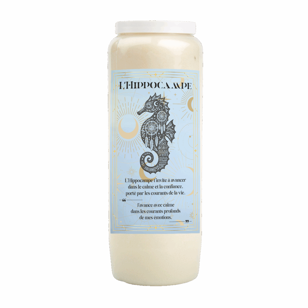 Neuvaine Animal Totem Hippocampe rituel patience clarté