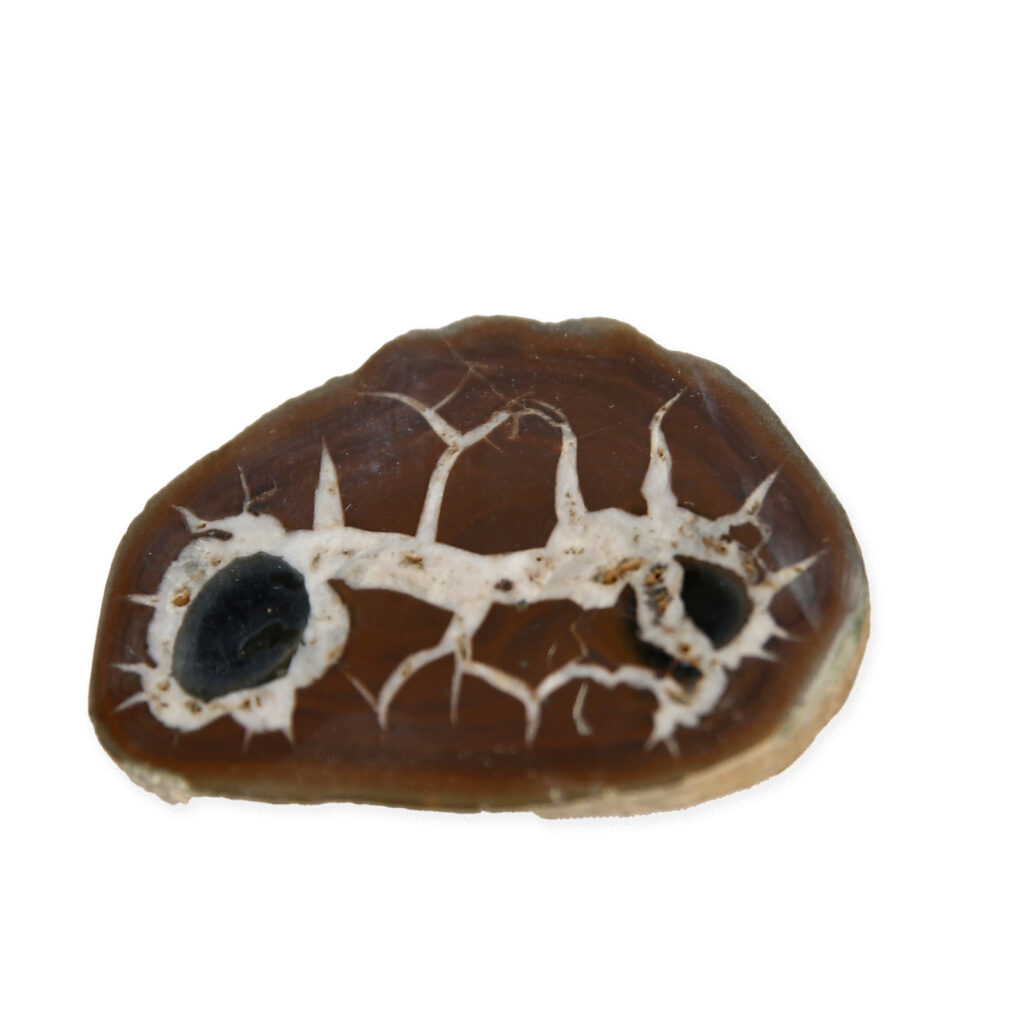 pierre brute SEPTARIA