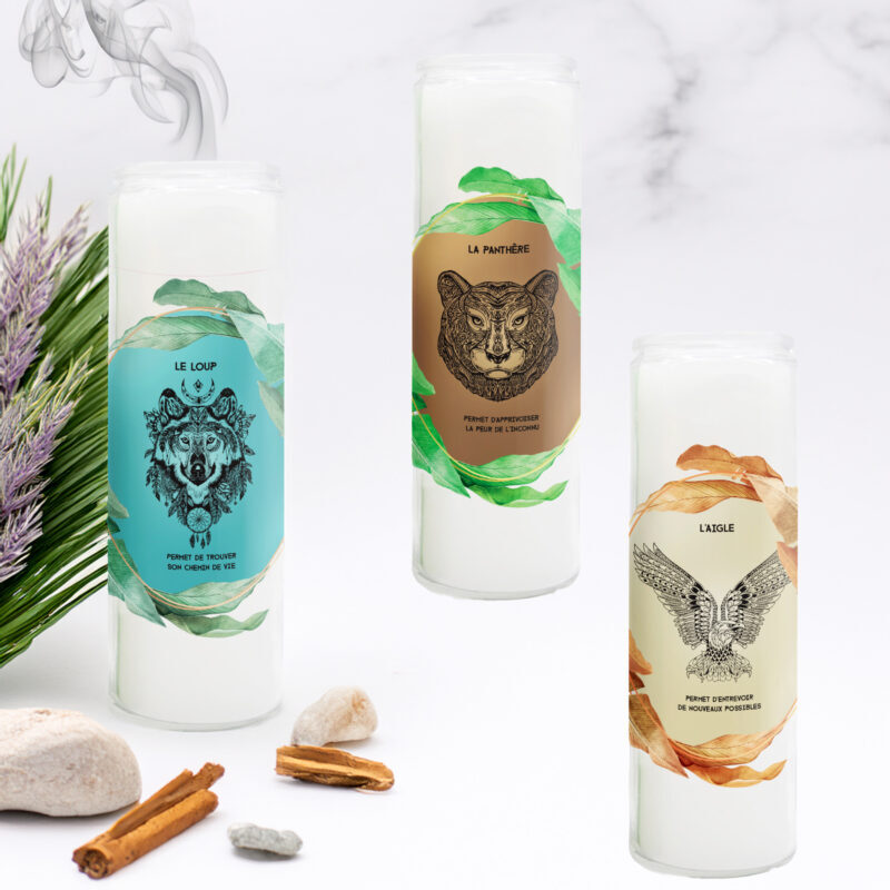 mix 3 neuvaines animaux totems