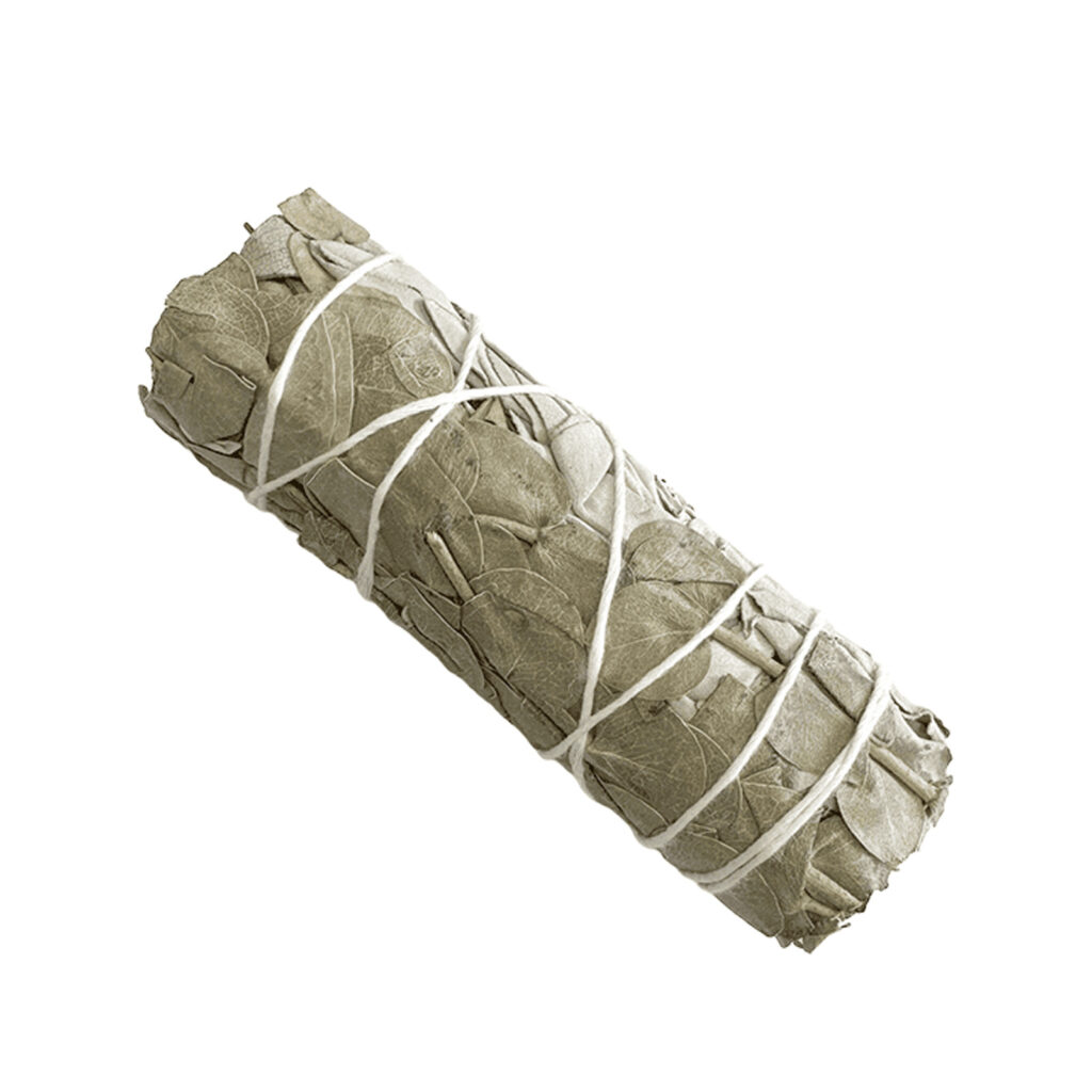 Sauge blanche & Eucalyptus fagot 25-30g 10cm