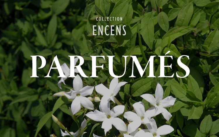 Encens en grains parfumés